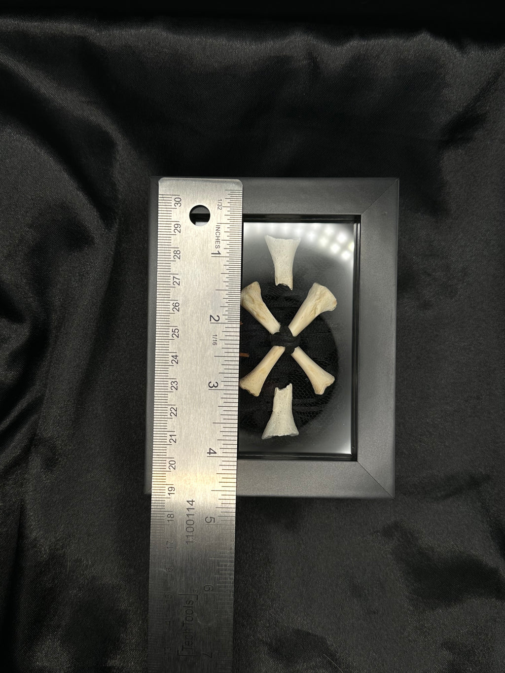 Crossed Bone & Barbed Wire Shadow Box | Handmade Gothic Bone Art
