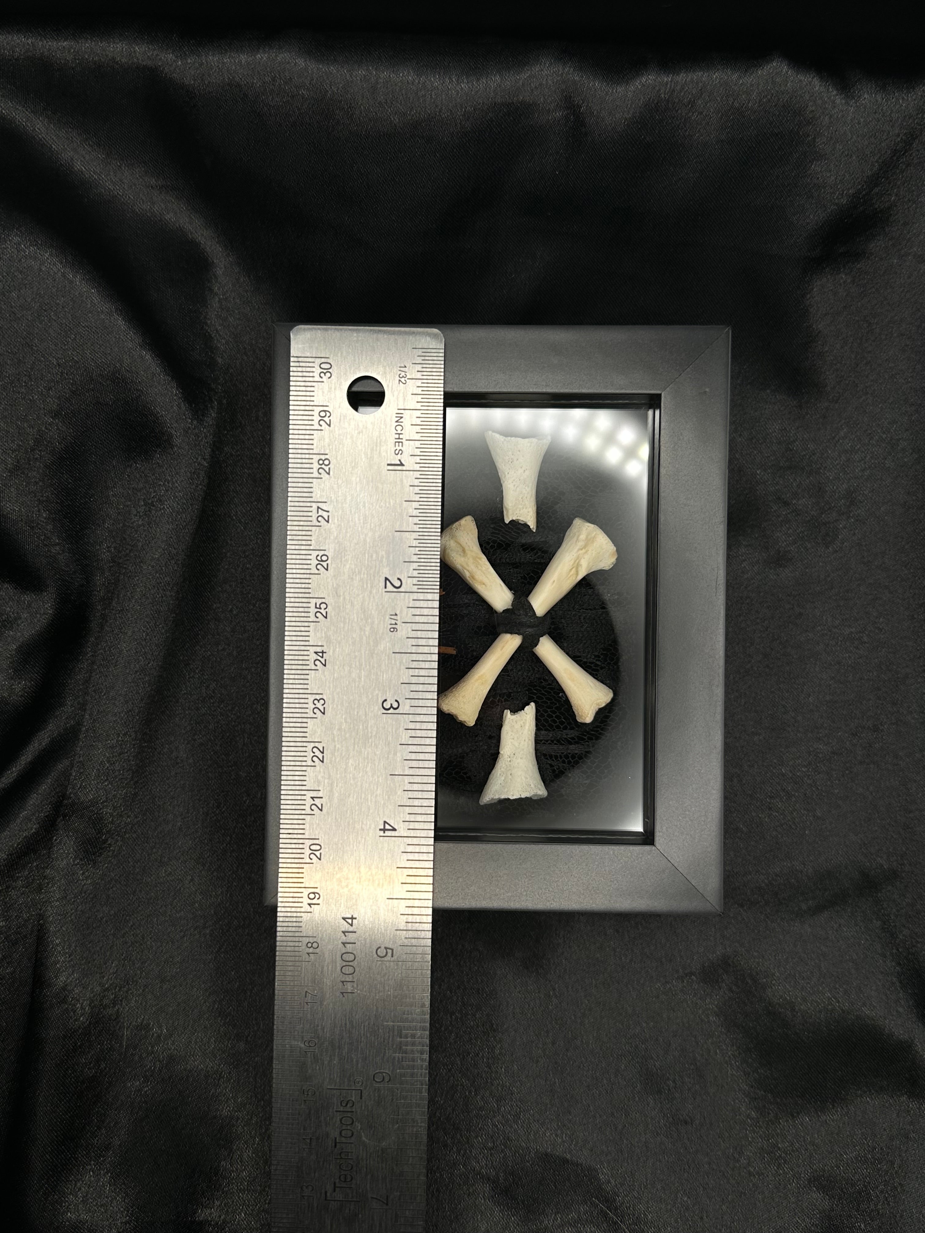 Crossed Bone & Barbed Wire Shadow Box | Handmade Gothic Bone Art