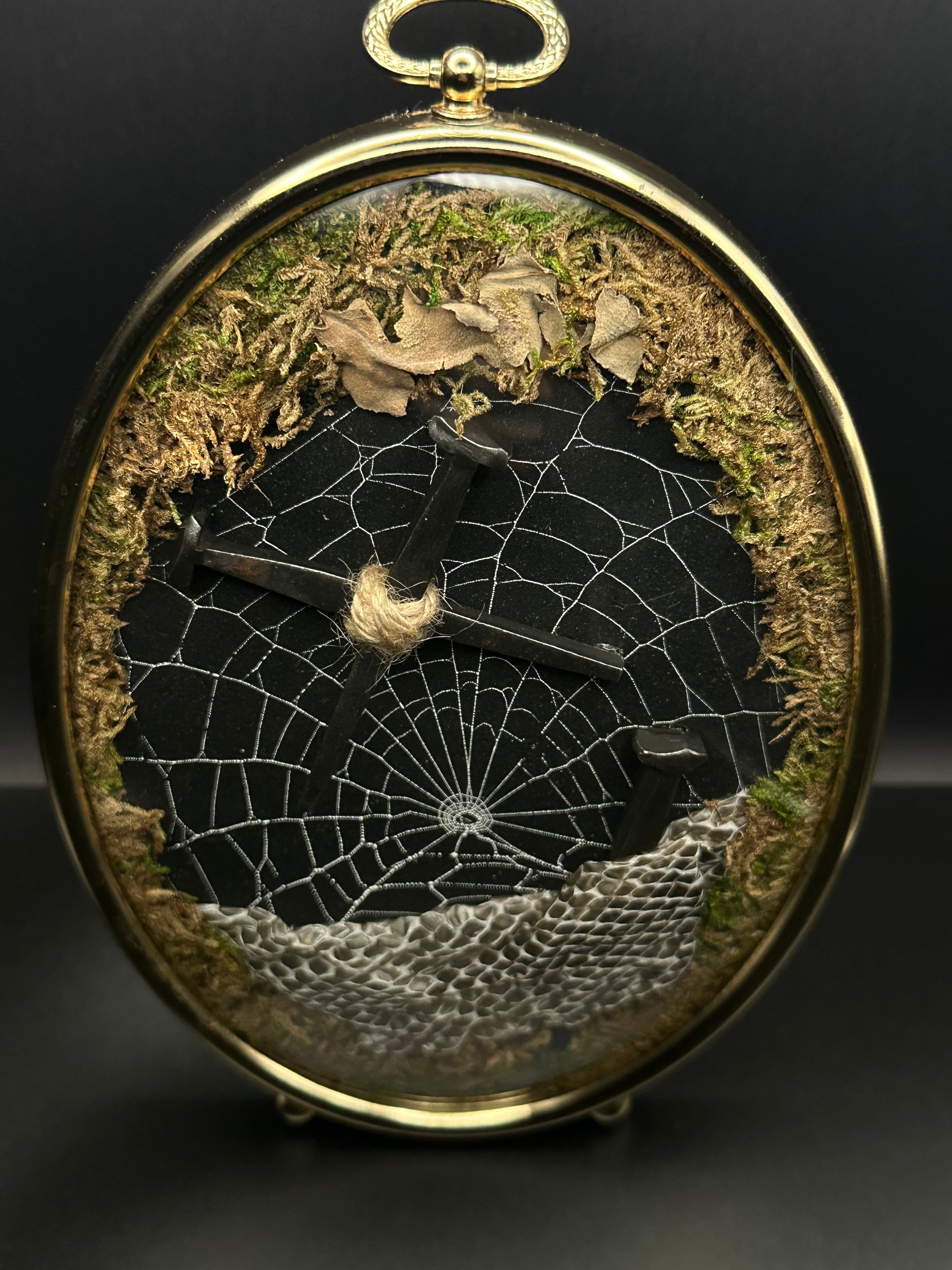 Victorian Gothic Spiderweb Coffin Nail Display