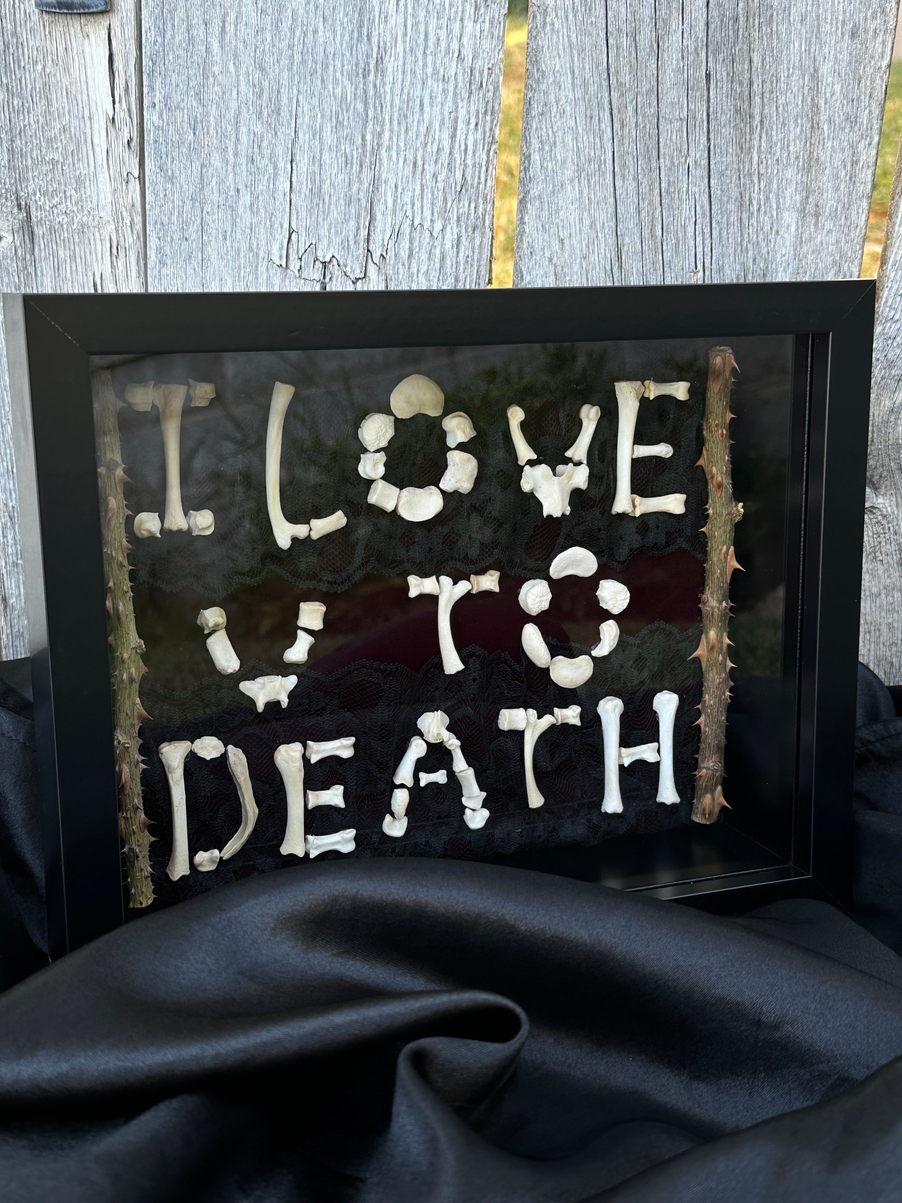 I Love You to Death Bone Shadow Box | Handmade Gothic Wall Art | Victorian Macabre Decor