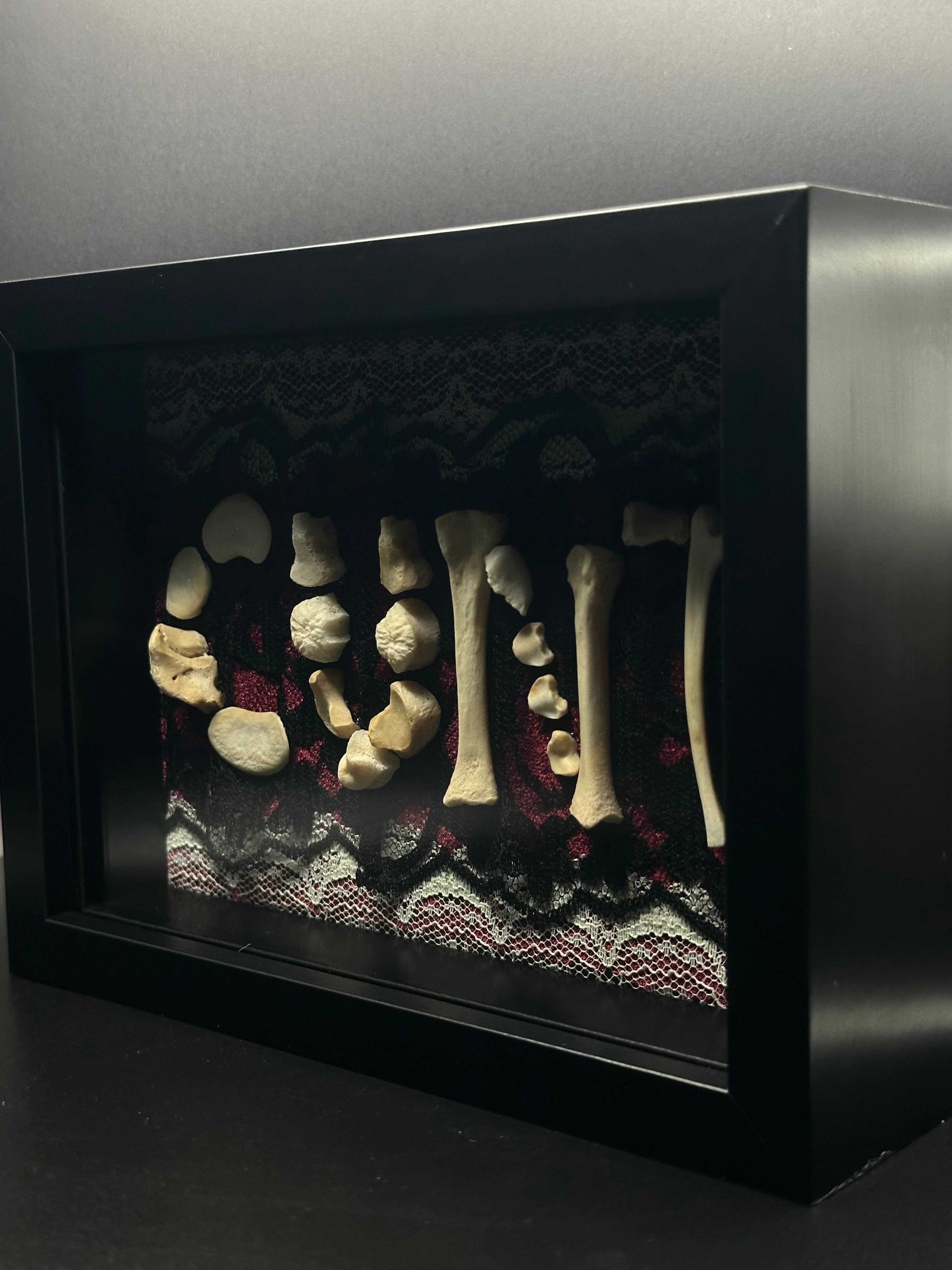 Victorian Bone Display