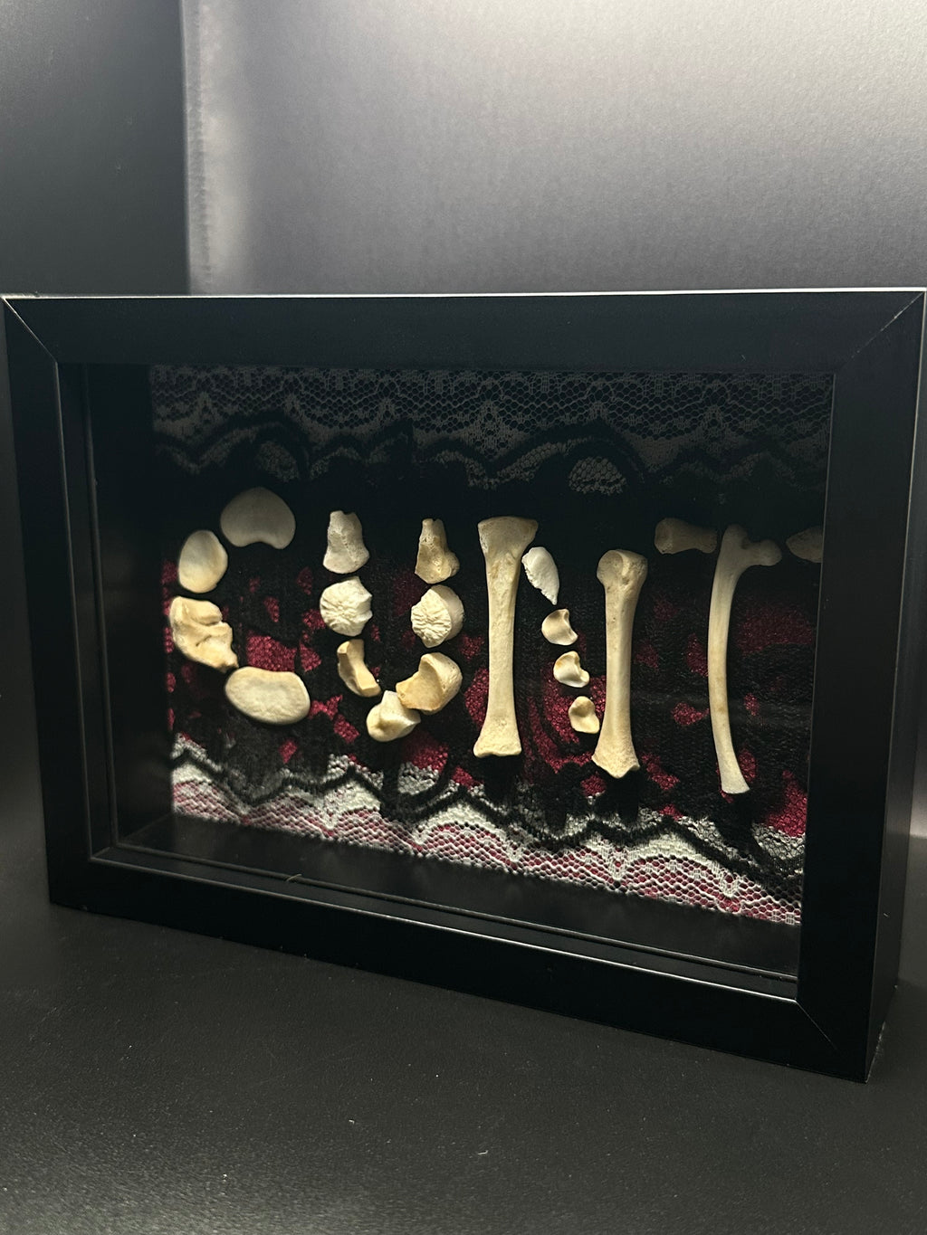 Victorian Bone Display