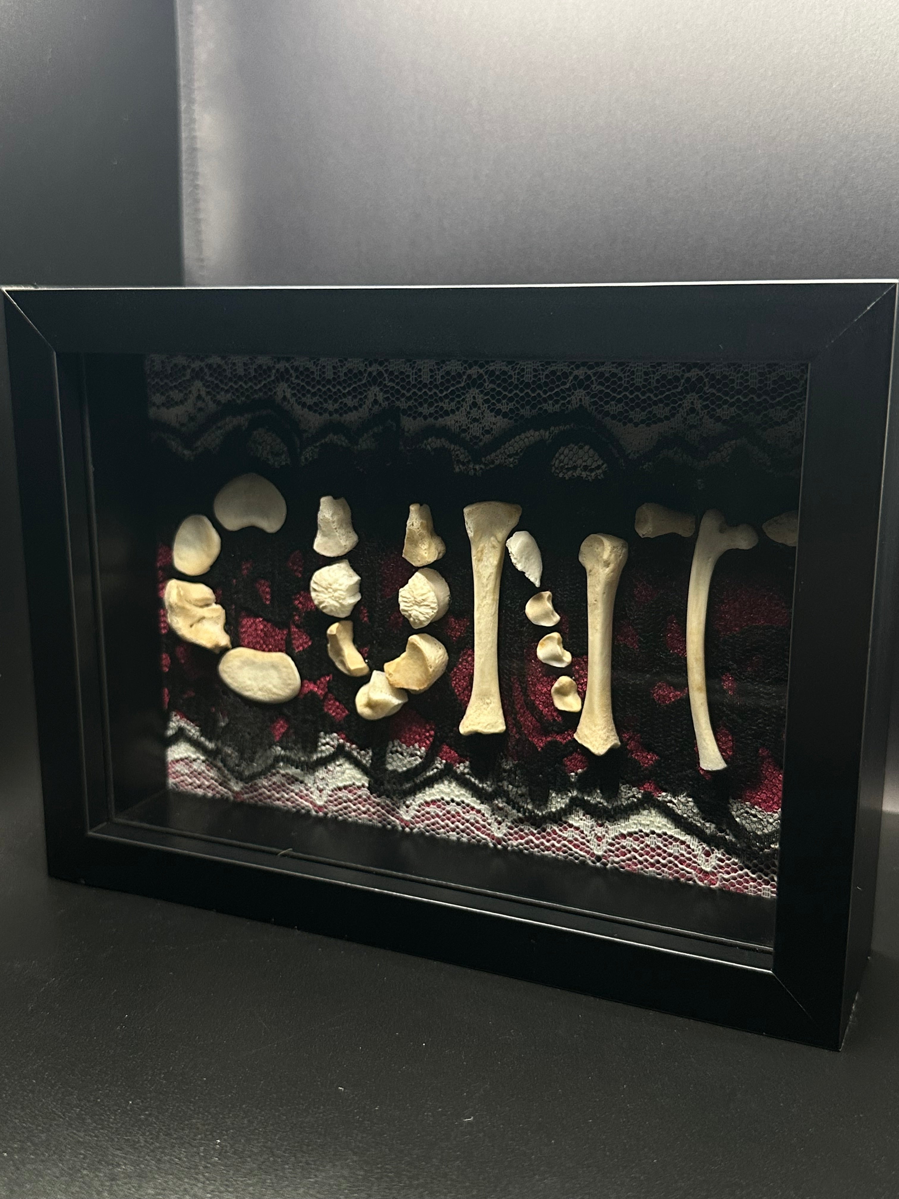 Victorian Bone Display