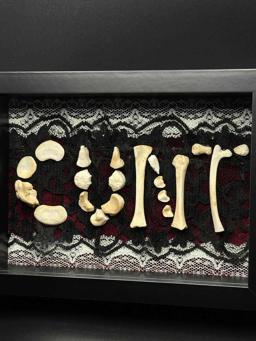 Victorian Bone Display