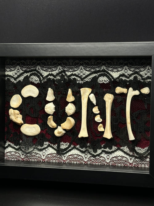 Victorian Bone Display