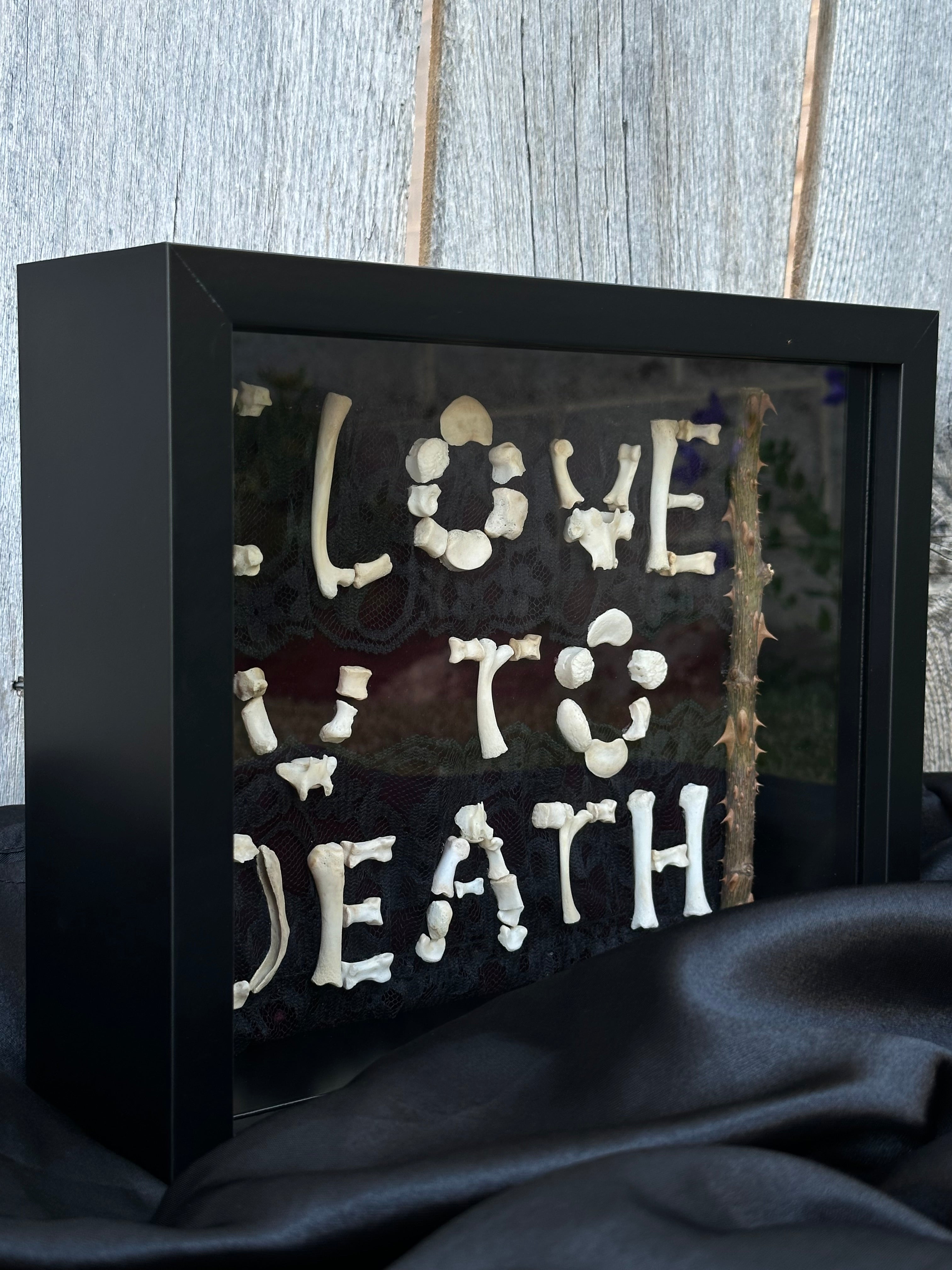 I Love You to Death Bone Shadow Box | Handmade Gothic Wall Art | Victorian Macabre Decor