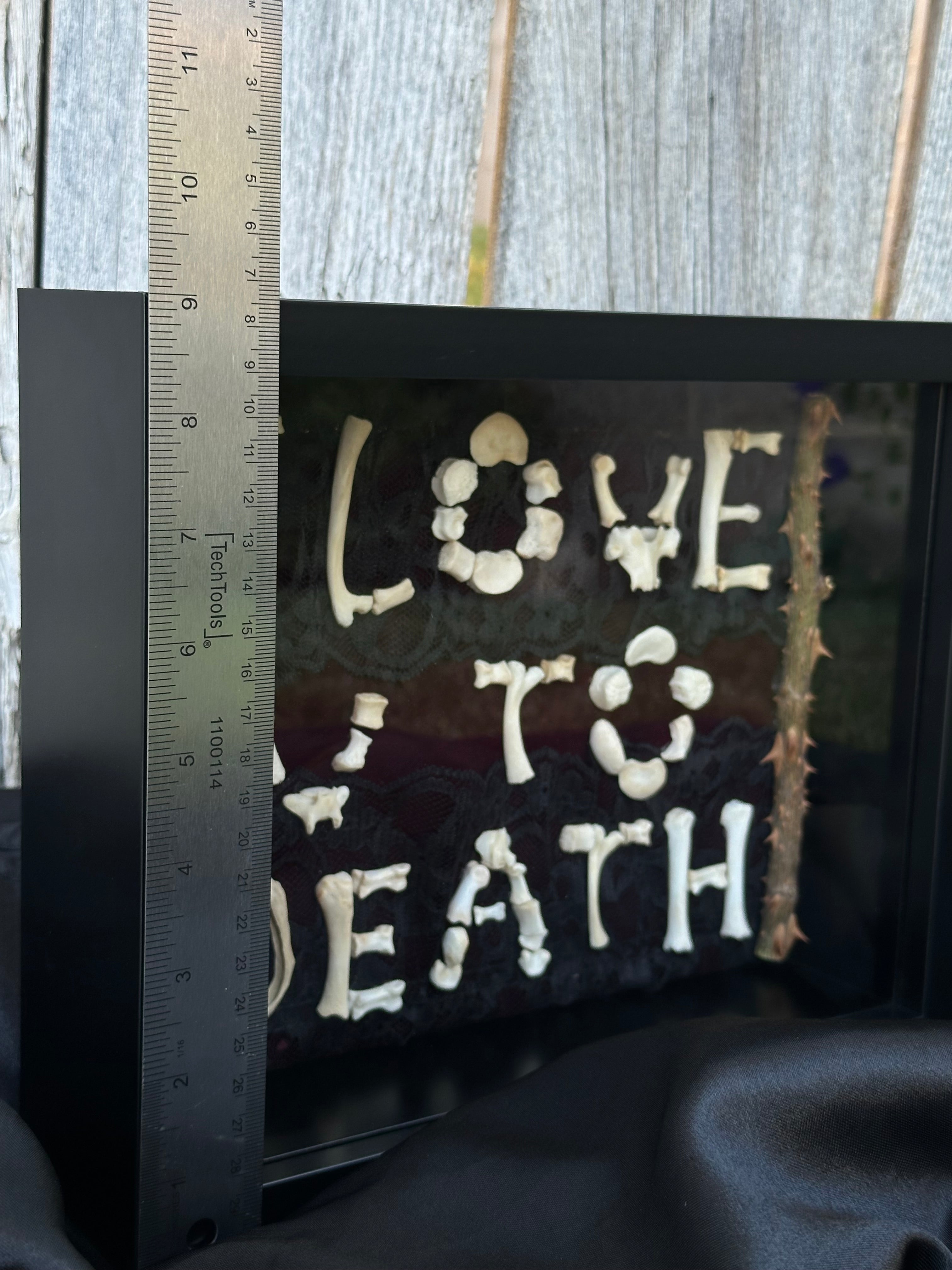 I Love You to Death Bone Shadow Box | Handmade Gothic Wall Art | Victorian Macabre Decor
