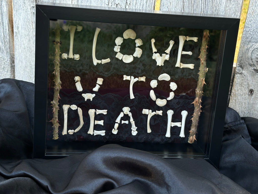 I Love You to Death Bone Shadow Box | Handmade Gothic Wall Art | Victorian Macabre Decor