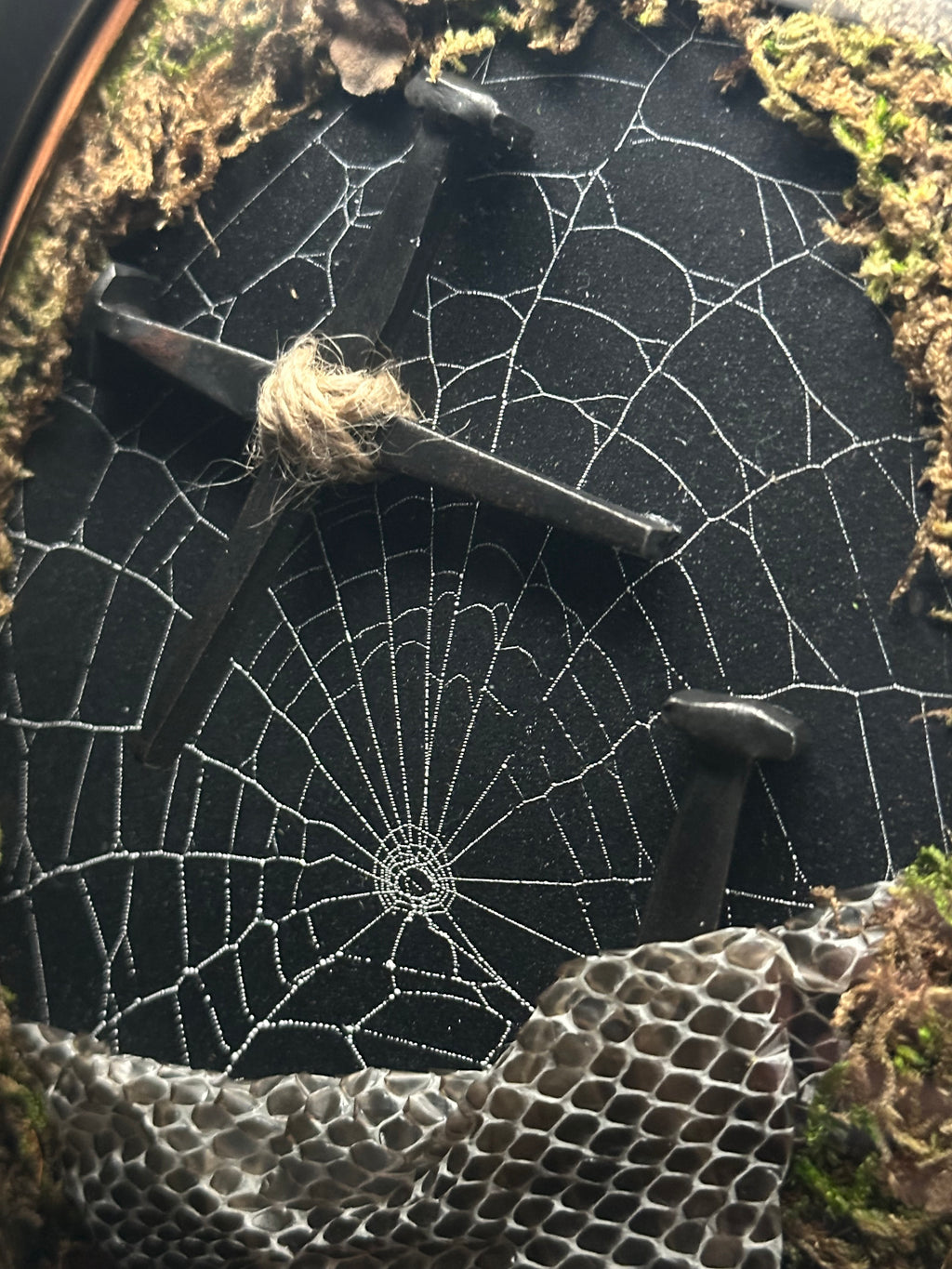 Victorian Gothic Spiderweb Coffin Nail Display