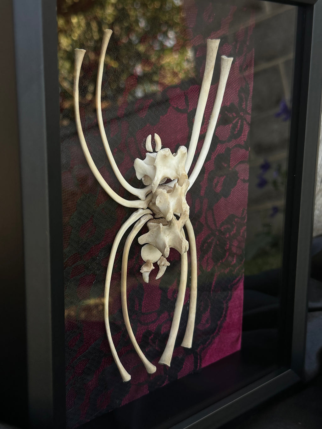 Handmade Bone Spider | Victorian Gothic Shadow Box | Macabre Bone Art
