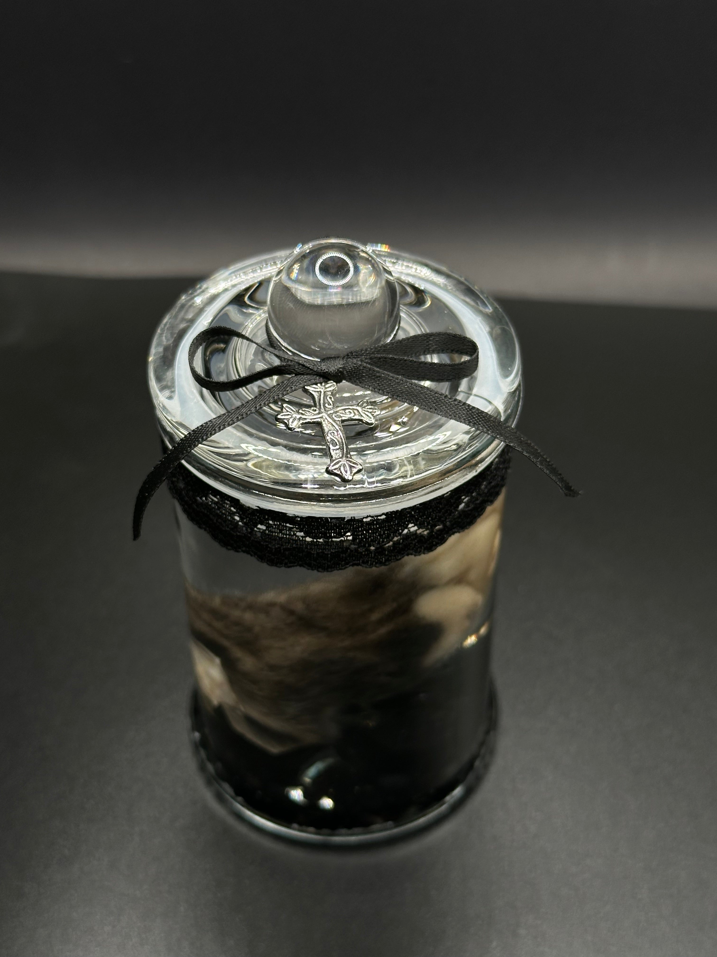 Real Kitten Paw Wet Specimen | Handmade Mourning Display | Gothic Oddity Art