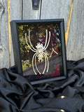 Handmade Bone Spider | Victorian Gothic Shadow Box | Macabre Bone Art
