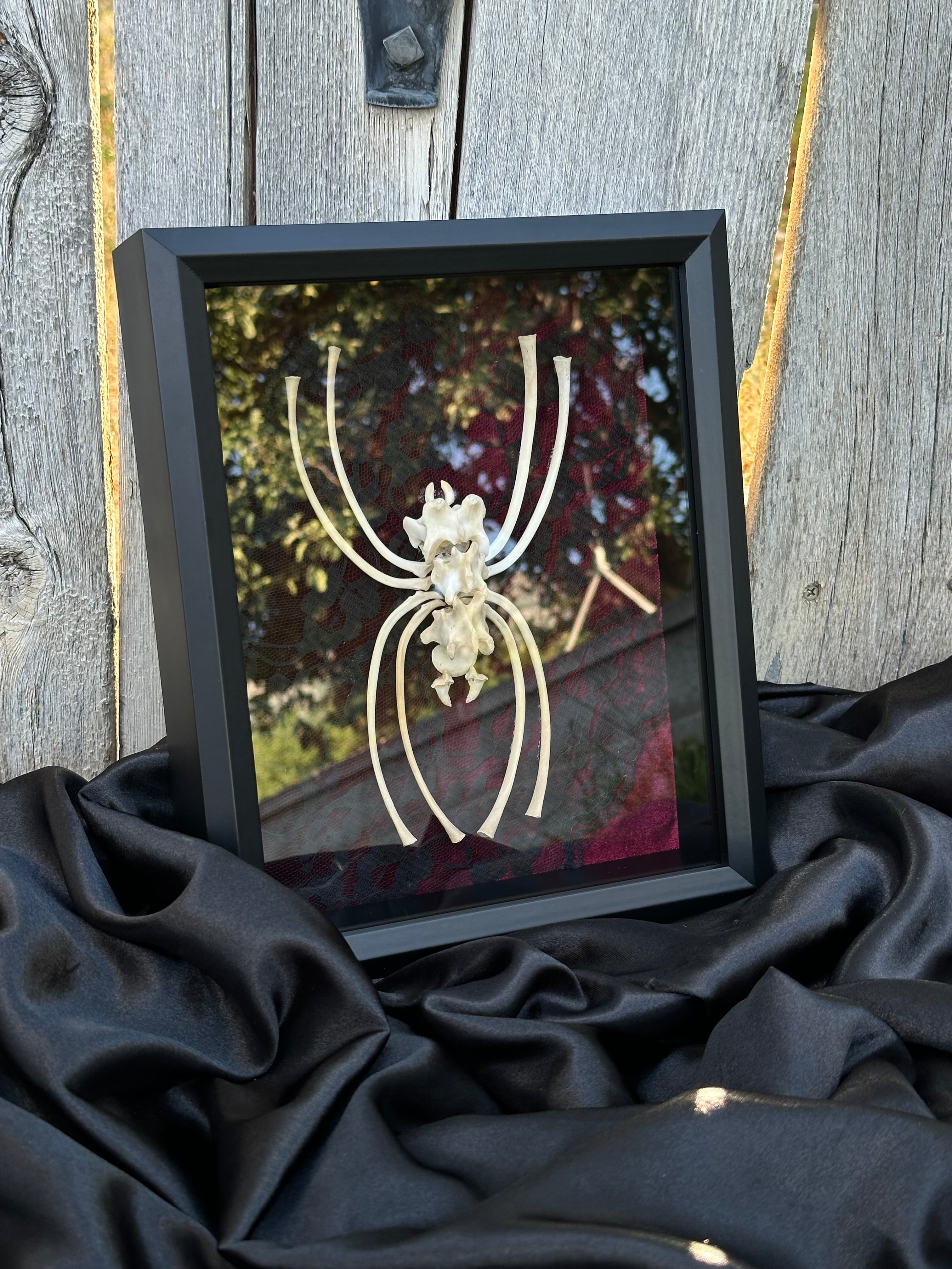 Handmade Bone Spider | Victorian Gothic Shadow Box | Macabre Bone Art