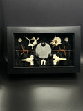 Authentic Asylum Crematory Tag Shadow Box | Handmade Macabre Art | Psychiatric Hospital Artifact