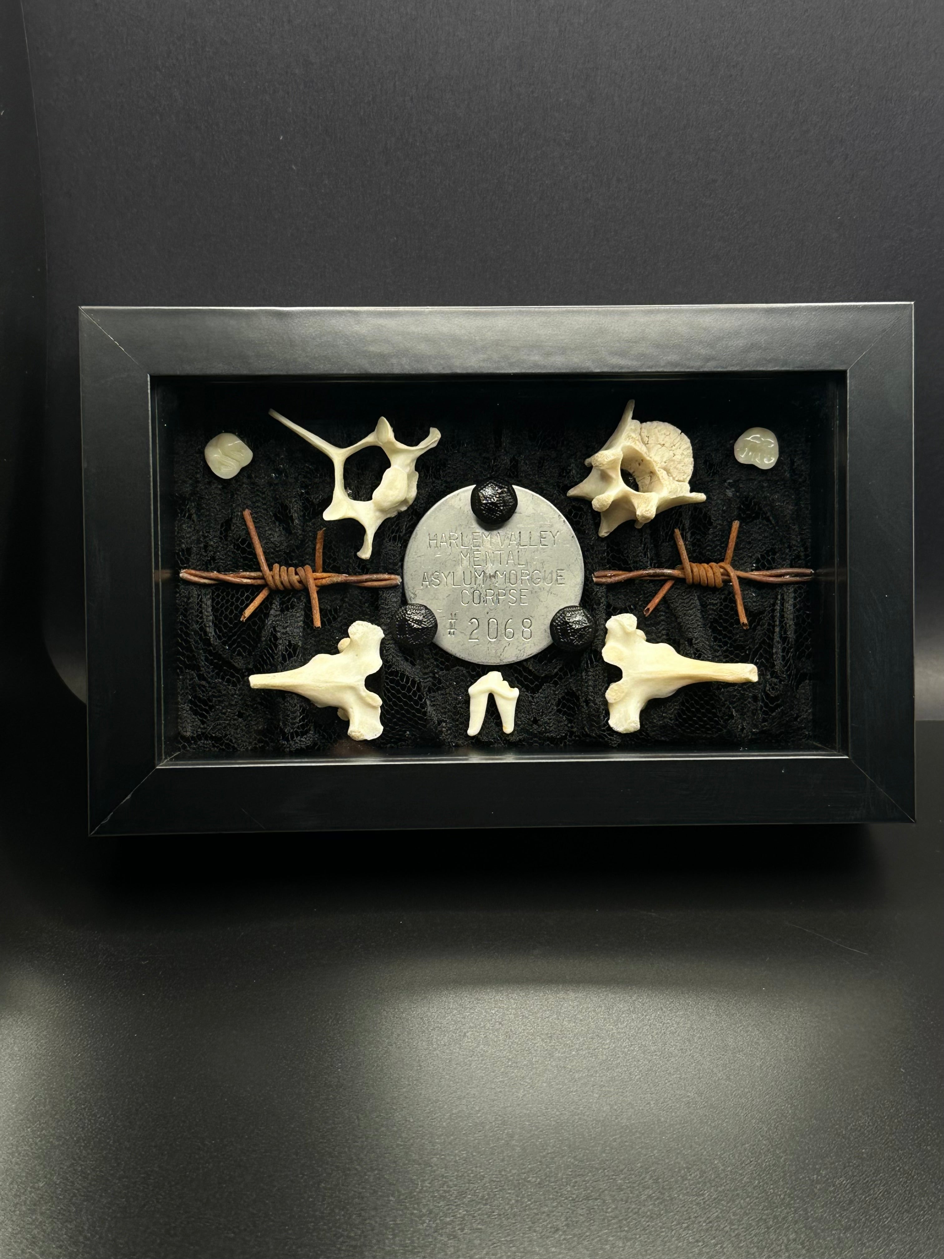 Authentic Asylum Crematory Tag Shadow Box | Handmade Macabre Art | Psychiatric Hospital Artifact