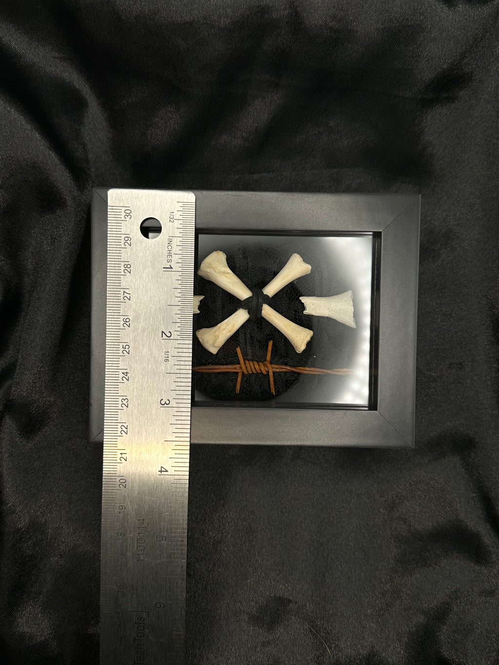 Crossed Bone & Barbed Wire Shadow Box | Handmade Gothic Bone Art