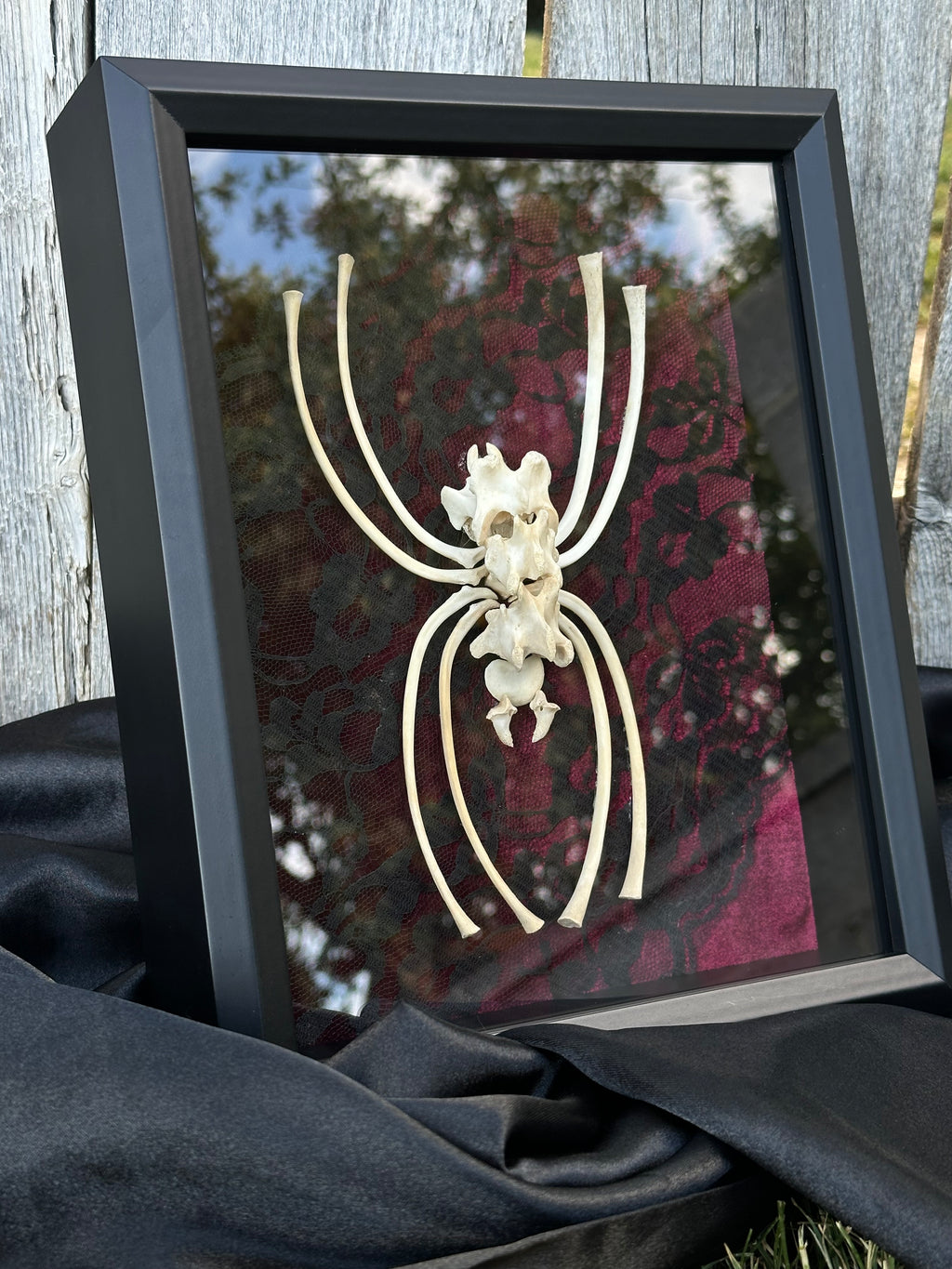 Handmade Bone Spider | Victorian Gothic Shadow Box | Macabre Bone Art