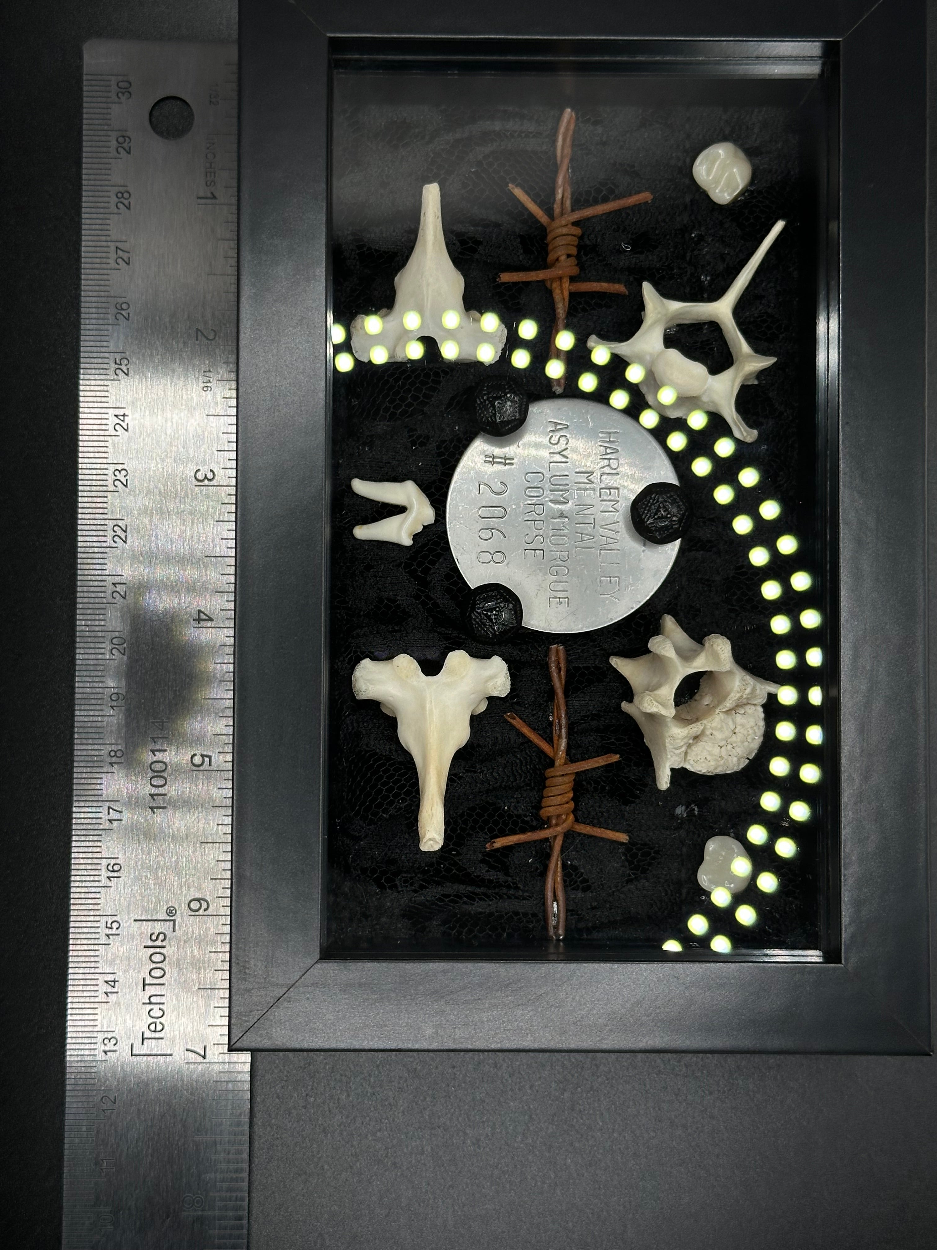 Authentic Asylum Crematory Tag Shadow Box | Handmade Macabre Art | Psychiatric Hospital Artifact