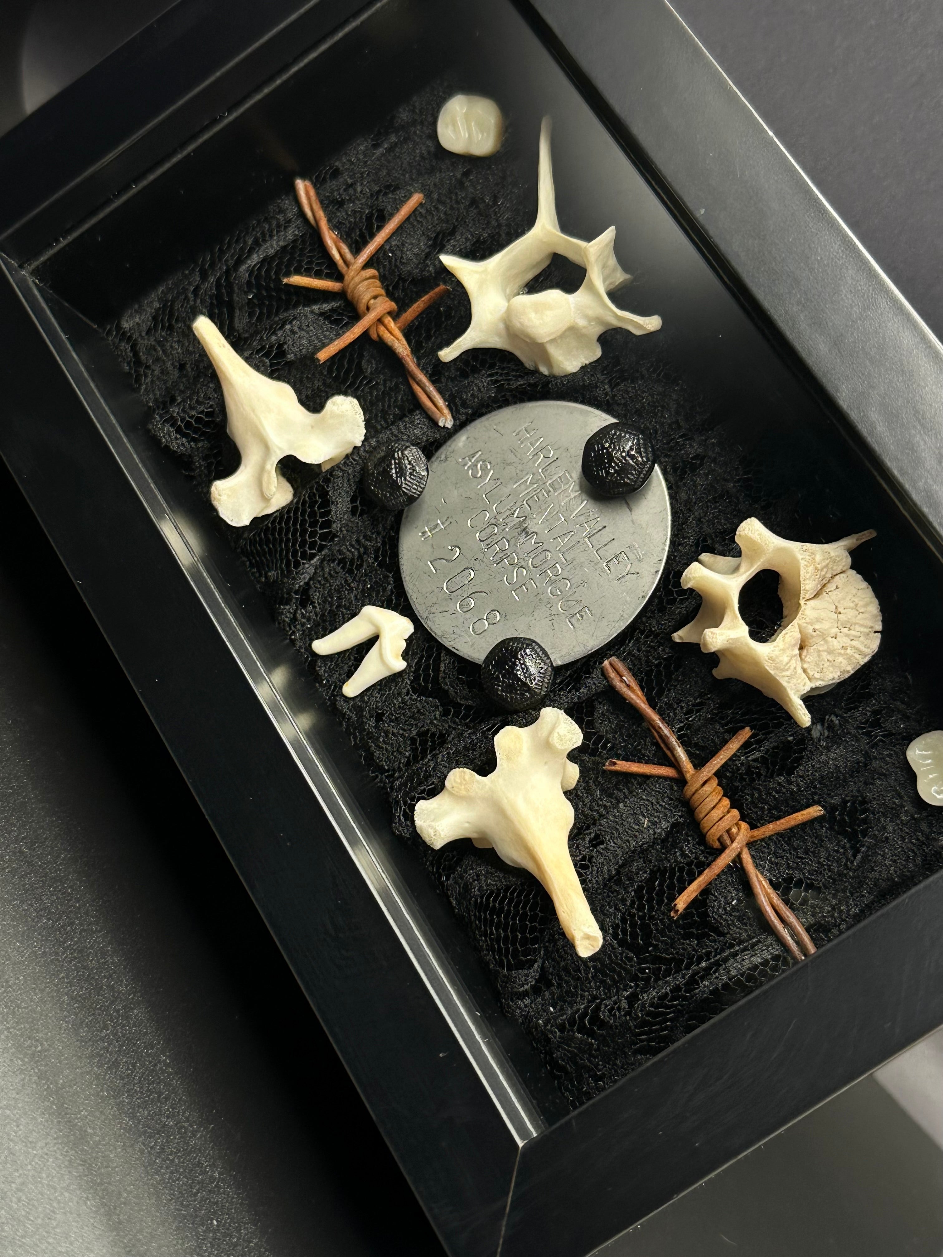 Authentic Asylum Crematory Tag Shadow Box | Handmade Macabre Art | Psychiatric Hospital Artifact