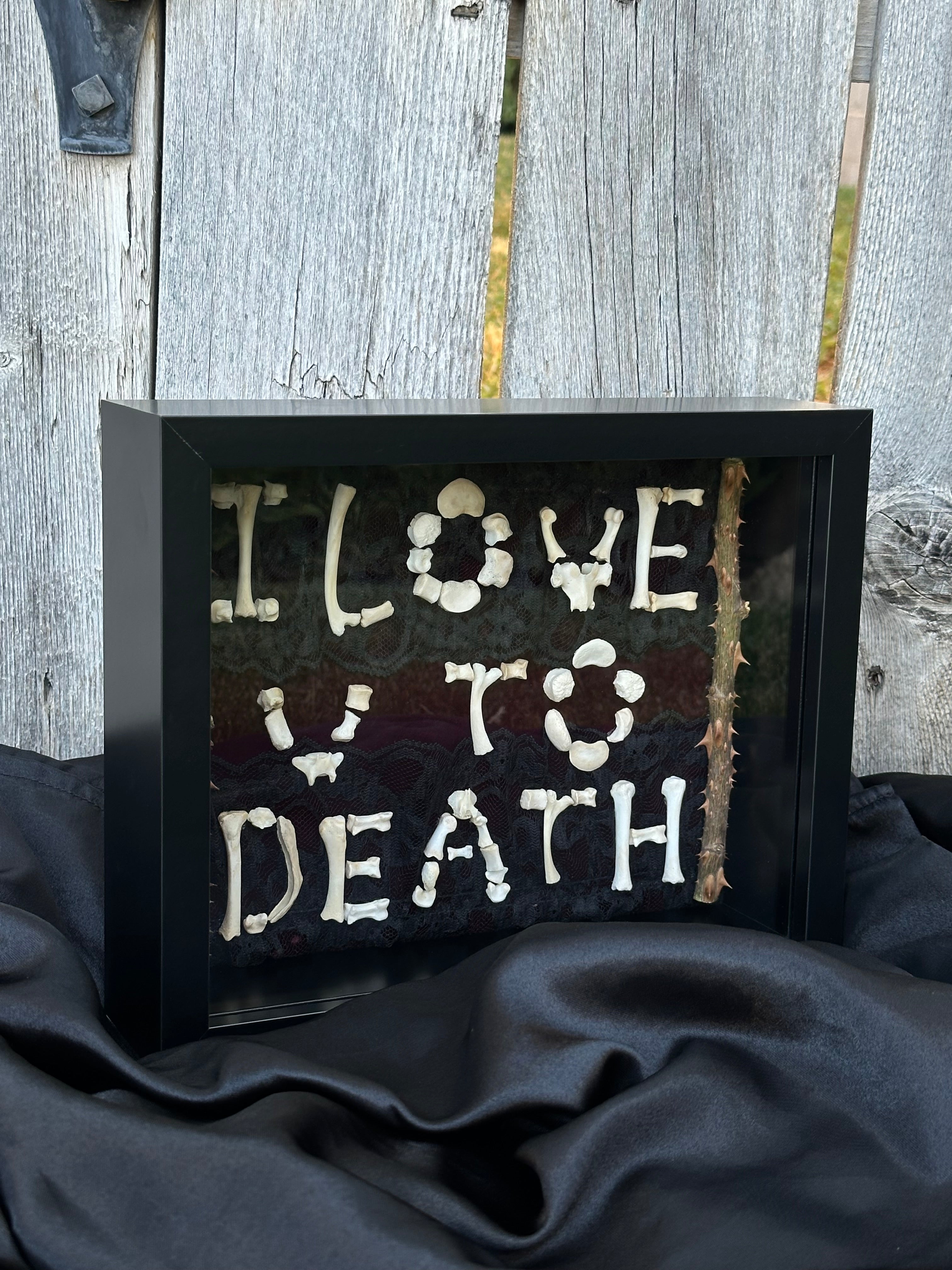 I Love You to Death Bone Shadow Box | Handmade Gothic Wall Art | Victorian Macabre Decor