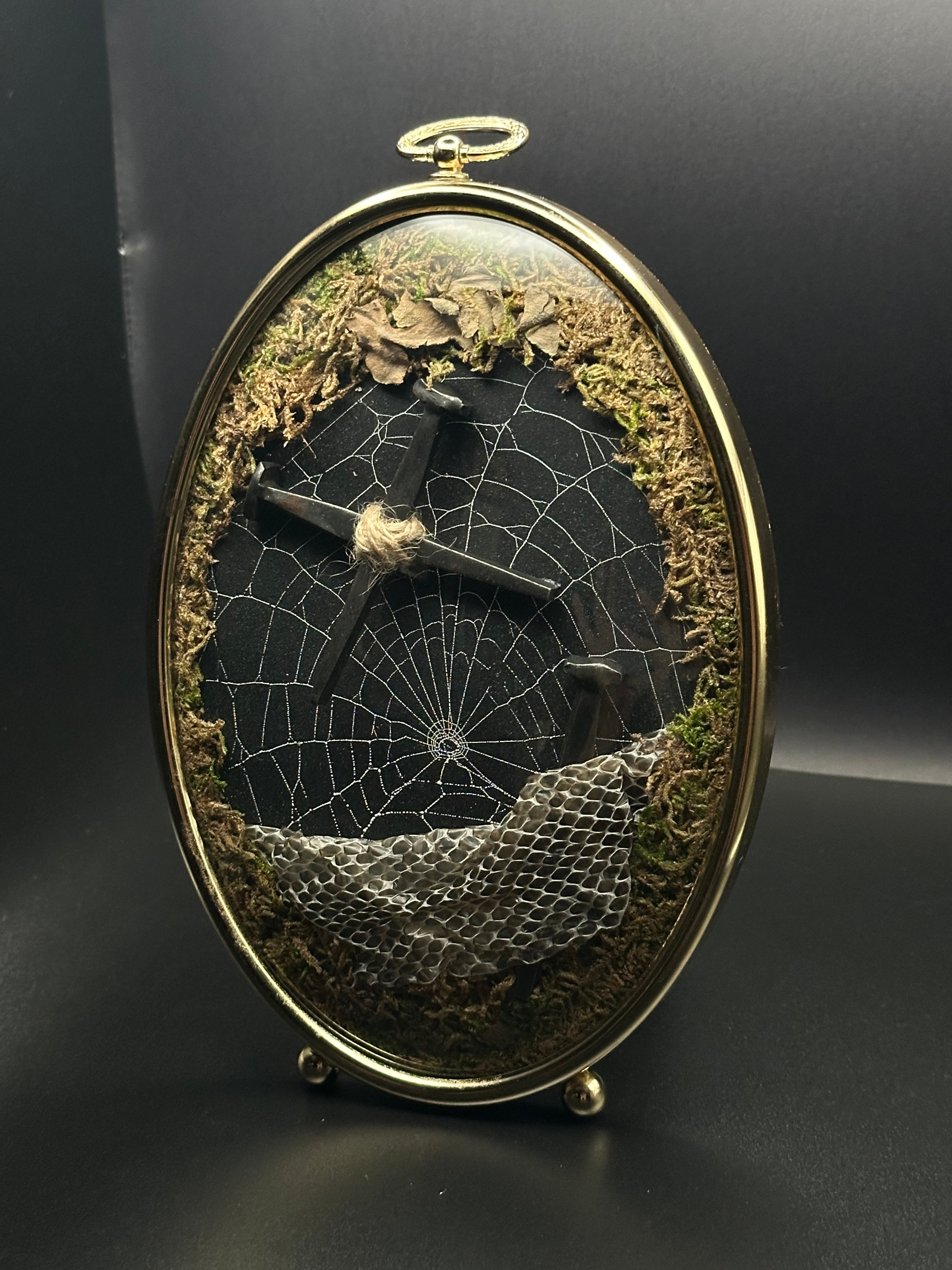 Victorian Gothic Spiderweb Coffin Nail Display