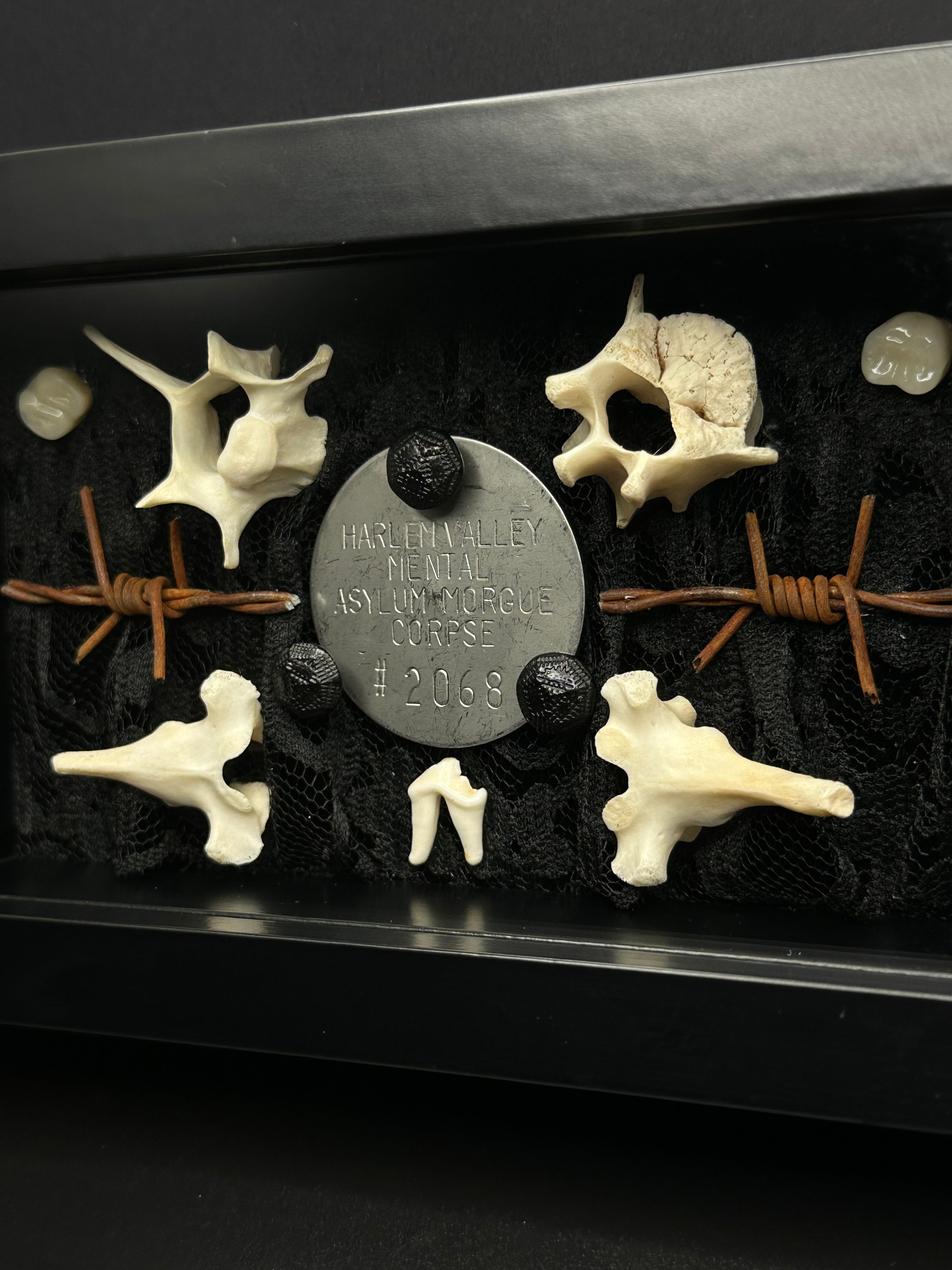 Authentic Asylum Crematory Tag Shadow Box | Handmade Macabre Art | Psychiatric Hospital Artifact
