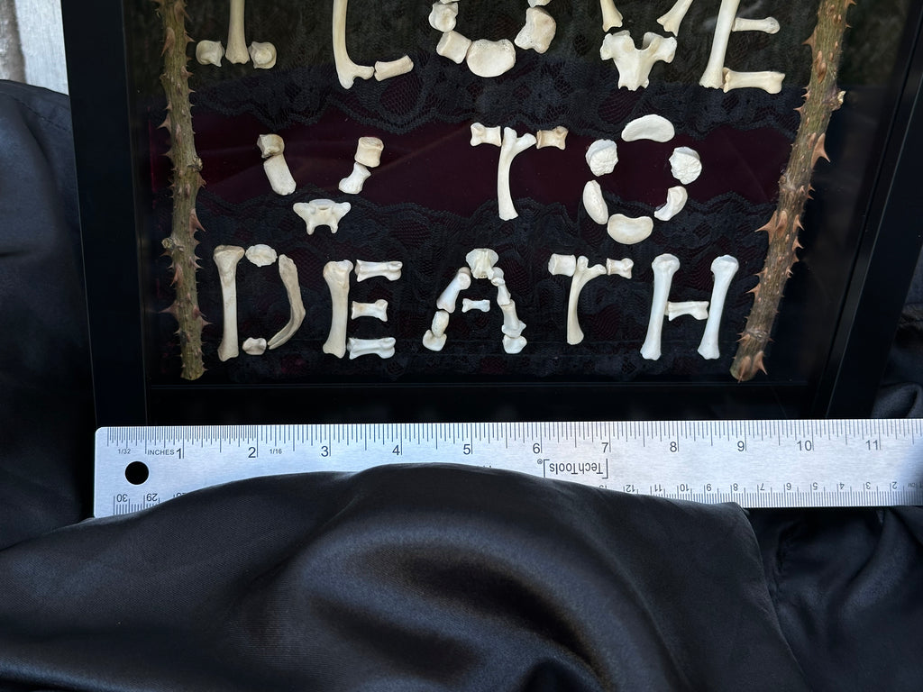 I Love You to Death Bone Shadow Box | Handmade Gothic Wall Art | Victorian Macabre Decor