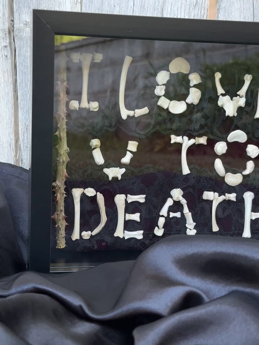 I Love You to Death Bone Shadow Box | Handmade Gothic Wall Art | Victorian Macabre Decor