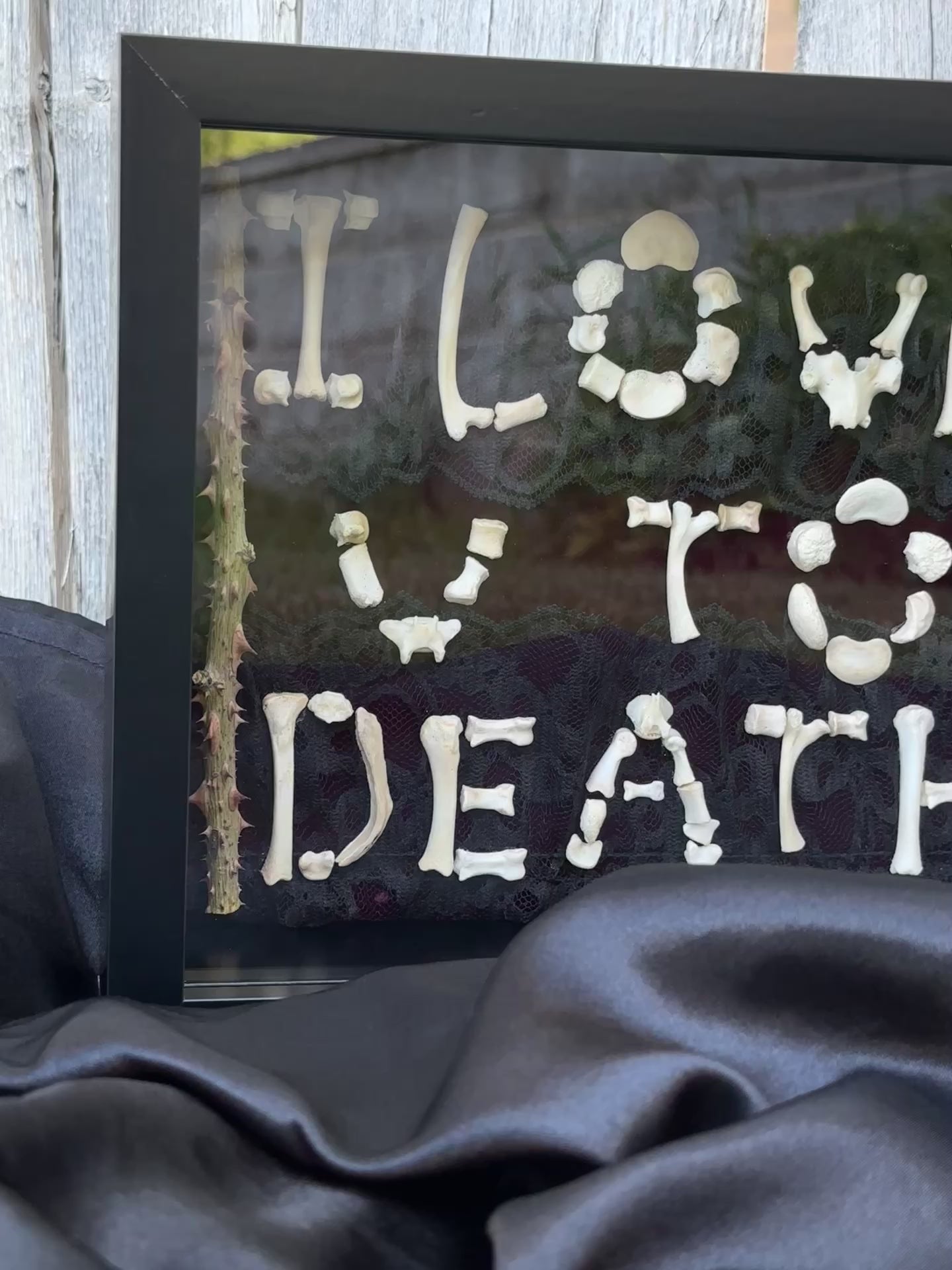 I Love You to Death Bone Shadow Box | Handmade Gothic Wall Art | Victorian Macabre Decor