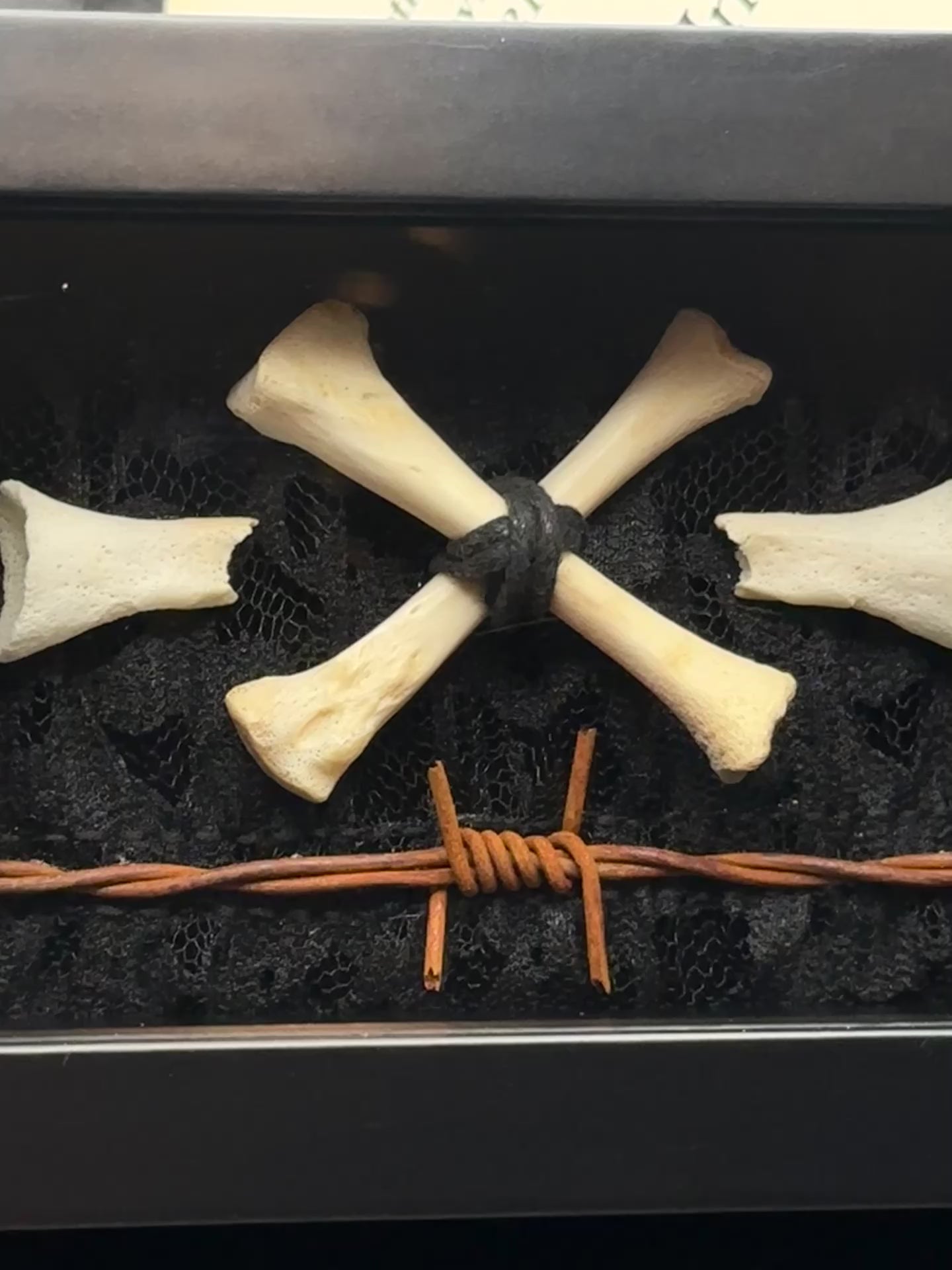 Crossed Bone & Barbed Wire Shadow Box | Handmade Gothic Bone Art