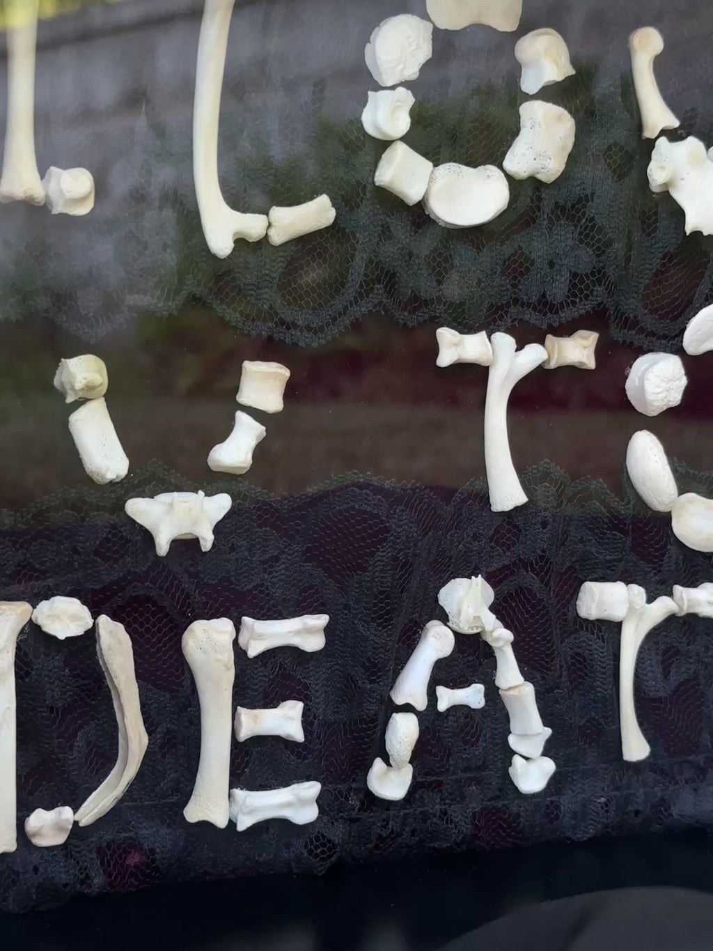 I Love You to Death Bone Shadow Box | Handmade Gothic Wall Art | Victorian Macabre Decor