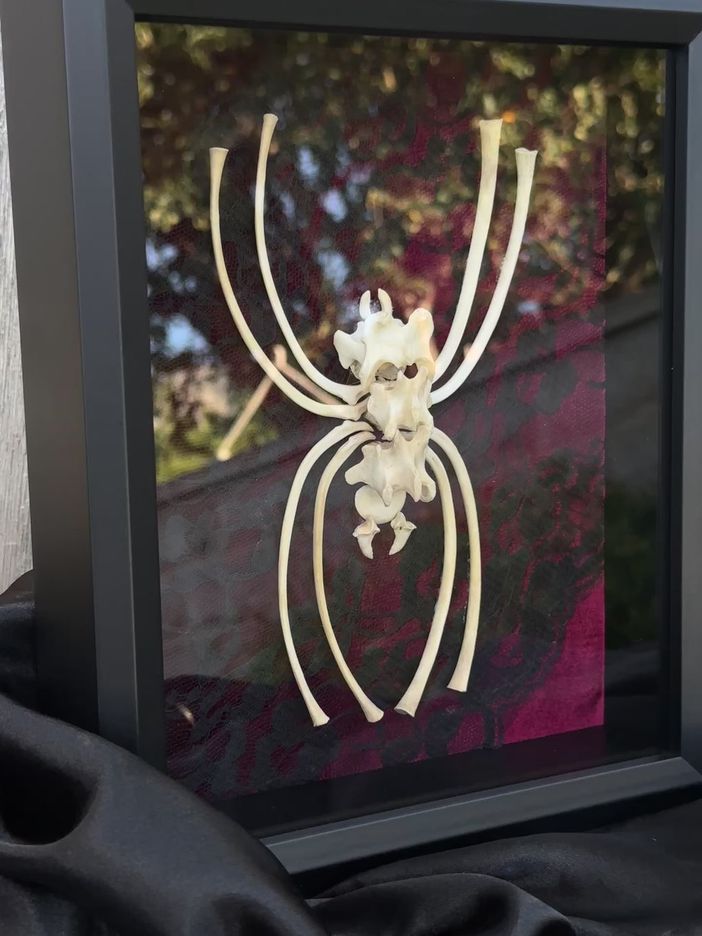 Handmade Bone Spider | Victorian Gothic Shadow Box | Macabre Bone Art