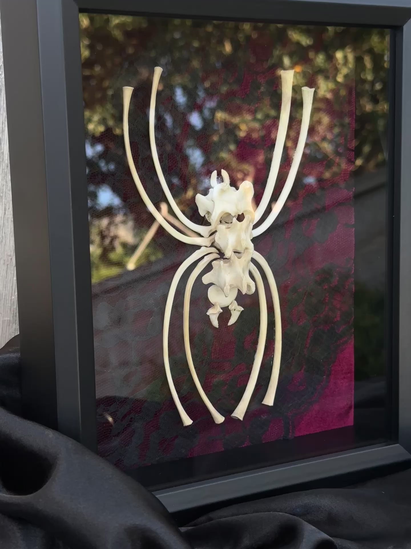 Handmade Bone Spider | Victorian Gothic Shadow Box | Macabre Bone Art